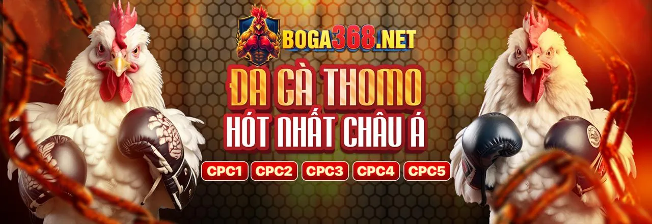 Cá cược có trách nhiệm với nohu 888b