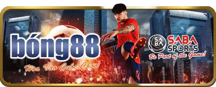 Phản hồi nhanh chóng ga567