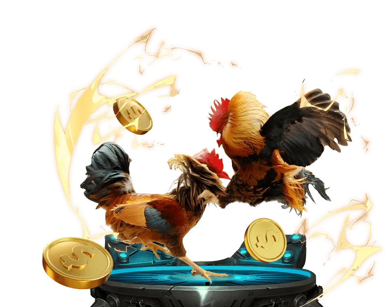 Tổng quan về nohu 888b Casino